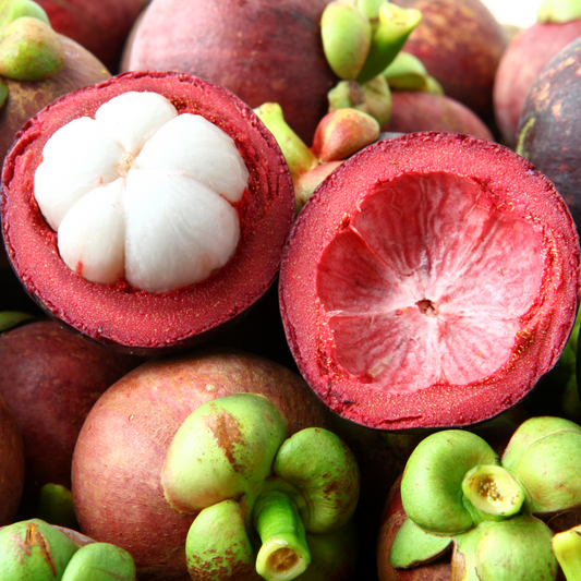 Mangosteen