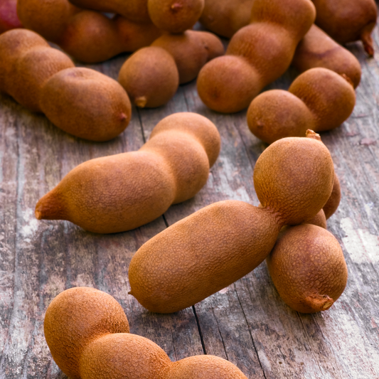 Tamarindus Indica Seed Gum