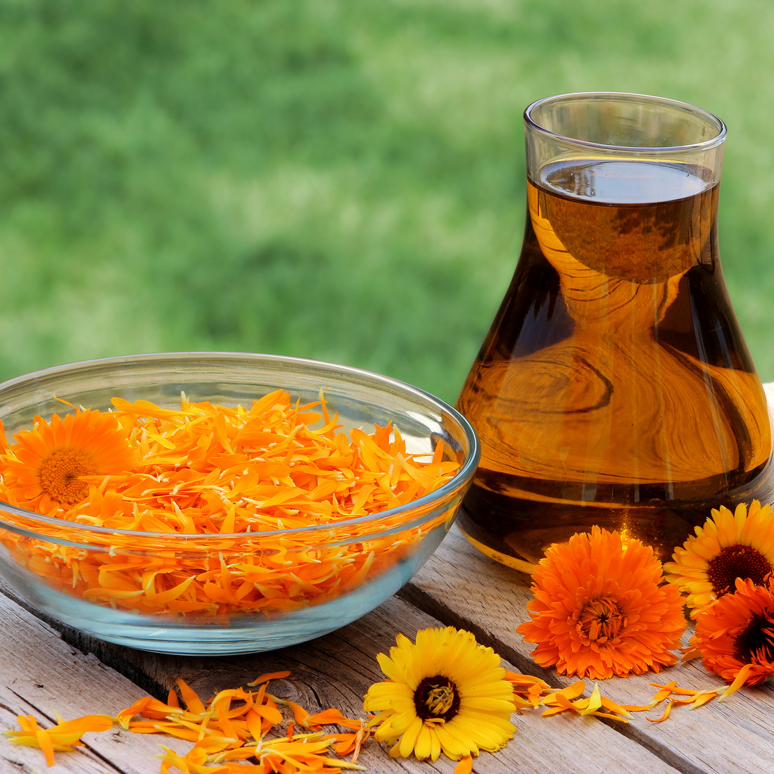 Calendula Officinalis Flower Extract